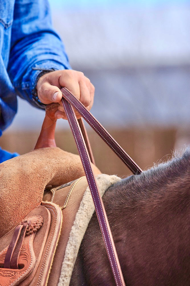 The importance of "Feel" for horse and rider connection.